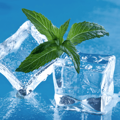 Ice cubes with mint