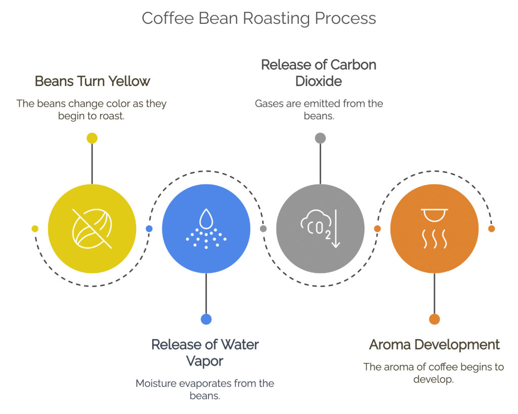 Coffee Bean Roasting Process