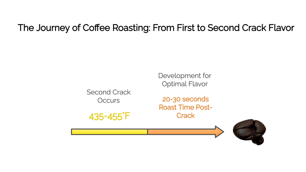 Coffee First Crack to Second Crack