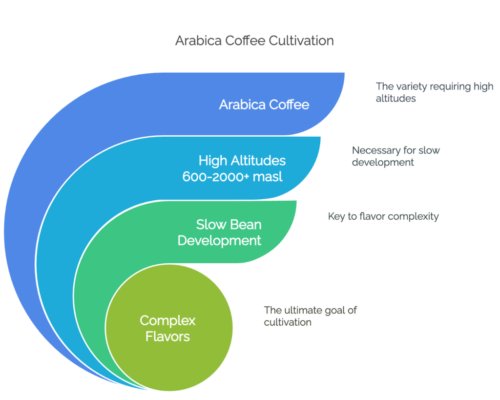 Arabica Coffee Cultivation map