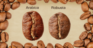 Coffee bean Arabica and Robusta