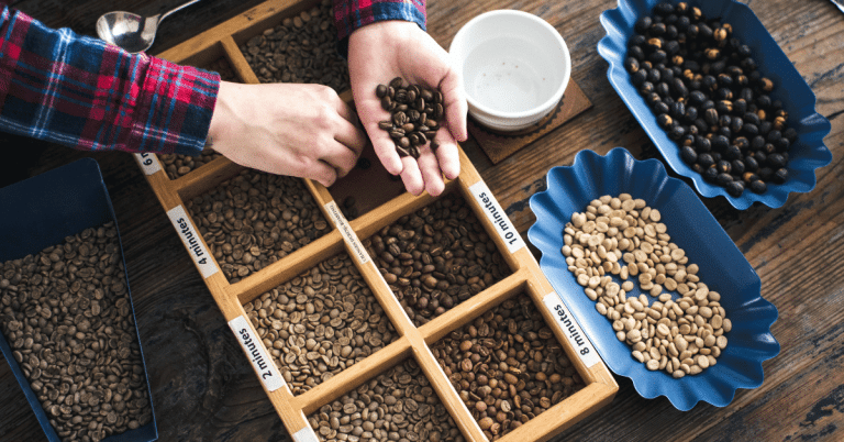 Coffee bean roast levels