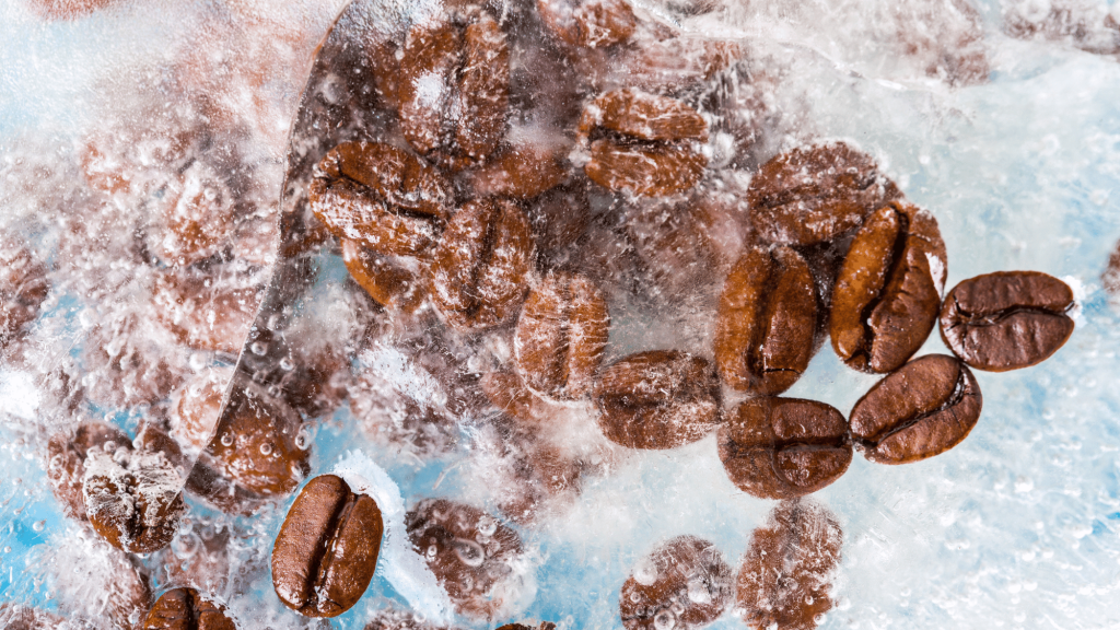 Coffee beans frozen