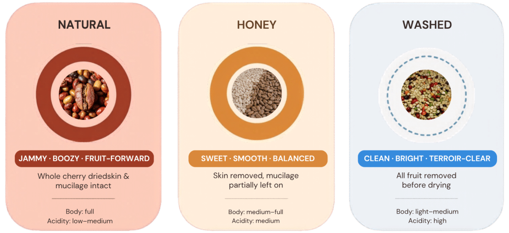Coffee processing methods
